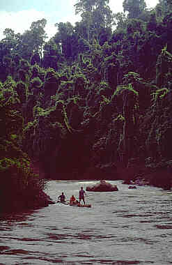 Nam Ngao River Rafting (from Houayxai to Luang Namtha)